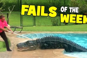 Fails Of The Week - Funny Moments, Failflixs Clip 20