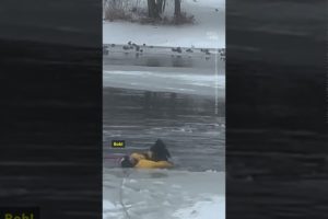 Firefighters Rescue Dog From Icy Pond That Froze Over in Utah