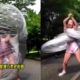 Funniest Fails Of The Week! 😂 Funny Videos