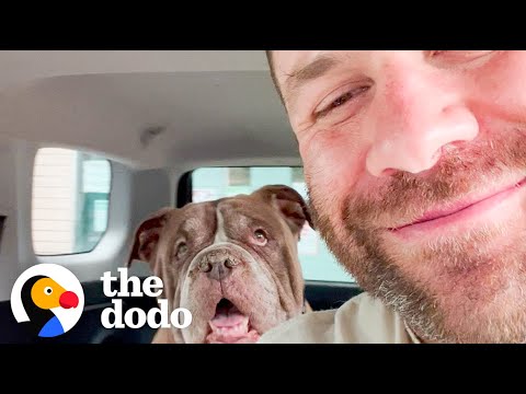Guy Rescues The Oldest Dogs Out Of The Shelter | The Dodo