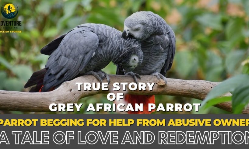 Heart-Wrenching Parrot's Plea for Help: A Story of Love and Redemption