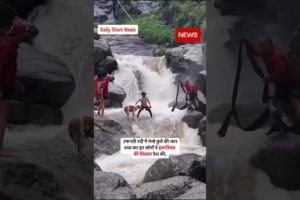 🔴 Himachal Mein Tourist Ne Dog Ko Kiya Rescue #shorts #dog #rescue