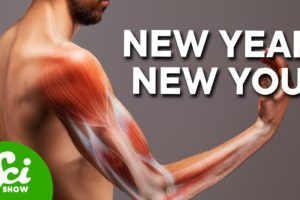 How Much of Your Body Is New Every Year? | Compilation