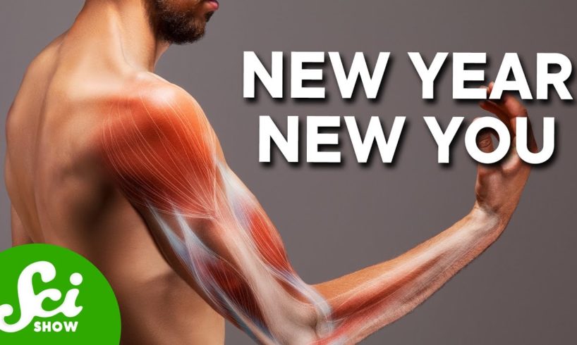 How Much of Your Body Is New Every Year? | Compilation