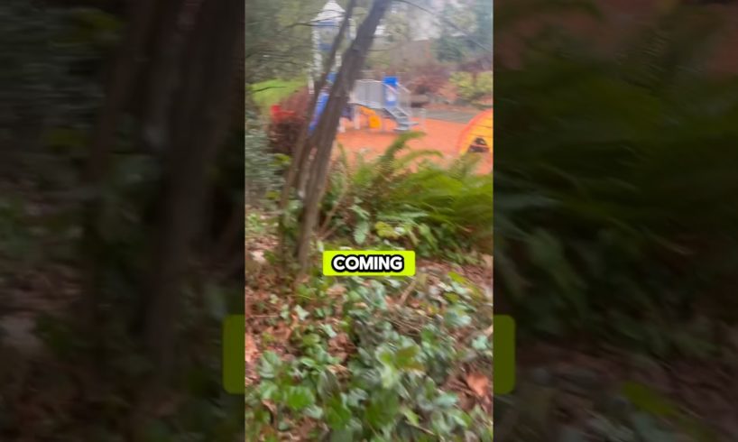 I made a new friend! 🥹 #shorts #kidsvideo #kidsvloggers #puppies #cute