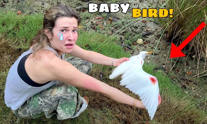 INJURED BIRD FOUND WITH BROKEN LEGS! DID HE SURVIVE?!
