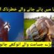 Largest animal Caught on camera Urdu Hindi | ImranFiyaz2.0