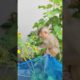 Love baby play in garden #animals #viral #shortsvideo #youtubeshorts #monkeys #monkeyvideo #monkey