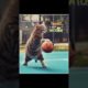 My Cutie pie 😍 playing 🤩#viral #funny #cat #animals #shorts #trending #new