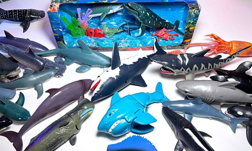 New Sea Animals - Shark, Whales, Great White Shark, Humpback Whale, Hammerhead Shark, Goblin Shark