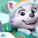 PAW Patrol Everest Snow Rescues & Adventures! w/ Rubble & Rocky | 60 Minute Compilation | Nick Jr.