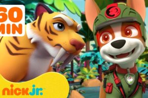 PAW Patrol's Jungle Pups Rescue Giant Animals! 🐯 w/ Marshall & Tracker | 1 Hour | Nick Jr.