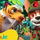 PAW Patrol's Jungle Pups Rescue Giant Animals! 🐯 w/ Marshall & Tracker | 1 Hour | Nick Jr.
