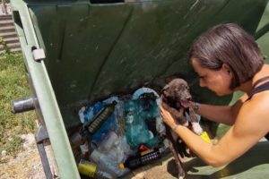 Puppies dumped like trash....abandoned and helpless to die.