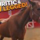 Rescue Horse SURVIVES KILLPEN but left in PAIN! ~ Chiro Helps!