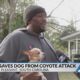 S.C. man saves dog from coyote