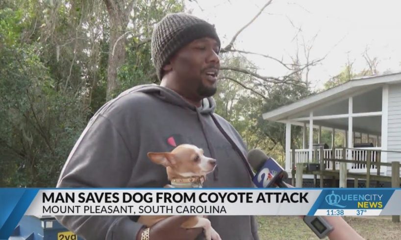 S.C. man saves dog from coyote