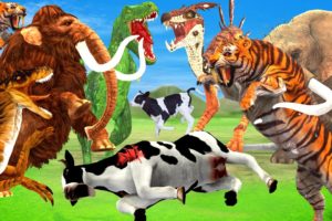 Sabertooth vs Raptor Attack Cow Cartoon Save by Woolly Mammoth Elephant Fight Dinosaur vs Tiger