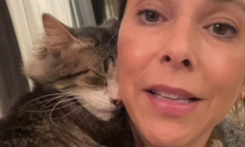 Scared cat melts when woman shows him love