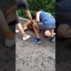 Snakeyez Videos:BROOKLYN DOG FIGHT...FORT GREENE PARK...