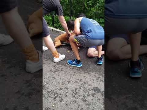 Snakeyez Videos:BROOKLYN DOG FIGHT...FORT GREENE PARK...