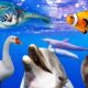 Sound Animals, Play Water Animals & Underwater Animal Life, Seals, ducks, swans, dolphins, crabs