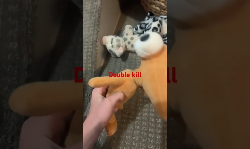 Stuffed animal fights part 3