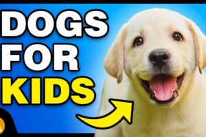 TOP 10 BEST DOG BREEDS FOR KIDS