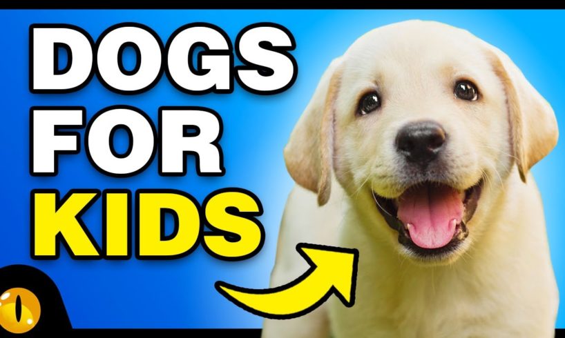 TOP 10 BEST DOG BREEDS FOR KIDS