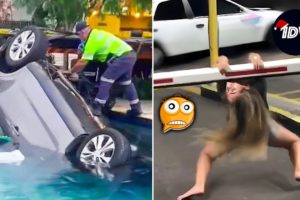 TOTAL IDIOTS AT WORK #88 | Funniest fails of the week | Best of winter