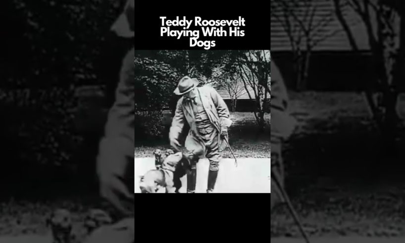 Teddy Roosevelt Playing With His Dogs In 1912 | #Interesting #Animals #Dogs #Pets #History #Video