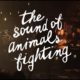 The Sound of Animals Fighting (Partial Set) {4K} @ The Observatory