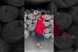 The reason you can't buy live tuna 🤨