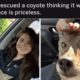 This girl rescued a coyote thinking it was a dog