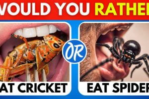 Would You Rather - HARDEST Choices Ever! COMPILATION 😨😱