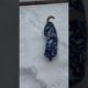 Wrapped Up Dog Hops Through Snow ⛄️😂