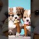 cute puppies and kittens😻😻😽🐶#shorts #shortvideo #shortsfeed #pets