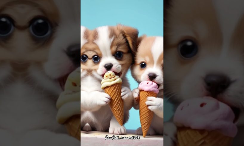 cute puppies and kittens😻😻😽🐶#shorts #shortvideo #shortsfeed #pets