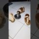 cute puppies playing with their empty food bowl after taking meals. #shorts #puppy #pleasesubscribe