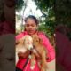 hamara Oreo & Rocky 😘😘##cute puppies😍#cute dog video#
