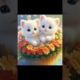 #youtubeshorts #love #cat @#cute puppies@#