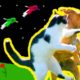 БИТВА ЖИВОТНЫХ! КОШКА VS СОБАКА! ANIMAL FIGHTS - CAT VS DOG в MINECRAFT
