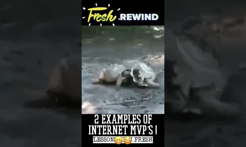 2 MOMENTS of INTERNET MVPs! ☠️🤣 FRESH REWIND👊 #fails #comedy #videos #funny #fun