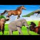 Amazing Familiar Animals Playing Sounds: Giraffe, Fennec Fox, Donkey, Otter - Cute Little Animals