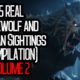 25 REAL Werewolf and Dogman Sightings (COMPILATION) | VOLUME 2