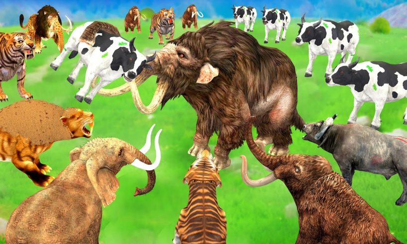 3 Giant Tiger Crocodile Attack 10 Cow Buffalo vs 10 Mammoth Elephant Cow Saved by Giant Lion Gorilla