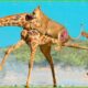 30 Tragic Moments! Giraffe Alone Defeats A Herd Of Lion | Animal Fight