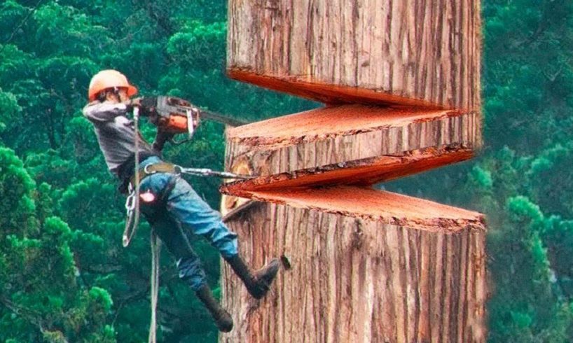 40 Minutes Of Satisfying Videos Of Workers Doing Their Job Perfectly | Best Moments