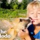 5-Year-Old Boy Insists On Rescuing Abandoned Puppies | The Dodo