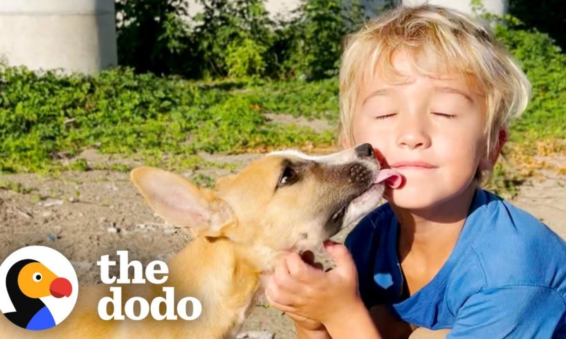 5-Year-Old Boy Insists On Rescuing Abandoned Puppies | The Dodo